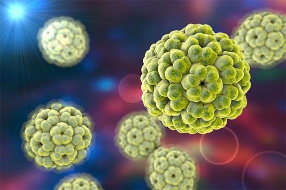 رشته ویروسشناسی پزشکی